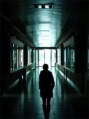 云深不知梦