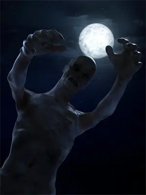 律师大人完整版全集